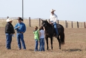 Stormy at 2008 Sale